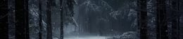 Beware the Yeti