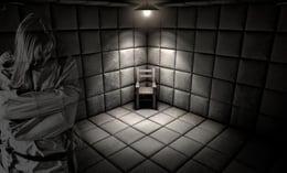 The Asylum [prev. Vice Versa]