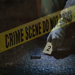 The Case of Valter Nielsen