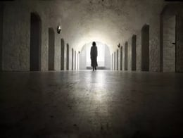 The Asylum