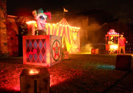 The Freak Show