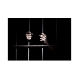 The Cell