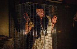 Asylum