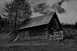 The Cabin