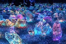 teamLab Biovortex [Immersive Art]