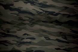 SEAL Team