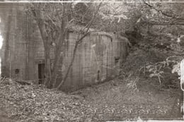 El Refugio [The Shelter]