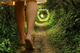 Rabbit Hole
