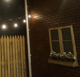 The Backyard