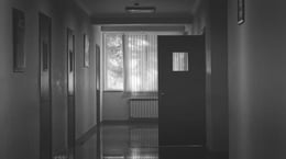 Cuckoo’s Nest