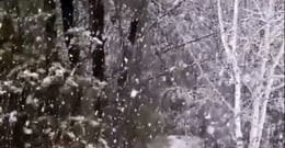 The Blizzard Escape