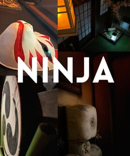 Ninja