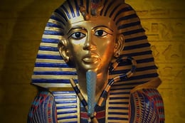 Pharaoh's Curse