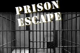Prison Escape