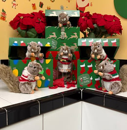 Rewrapped: Noel's New Nutty Christmas