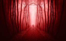 The Pig Farmer: Cult Of The 7 Sins [Outdoor]