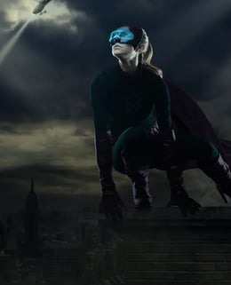 Guardian Of Gotham