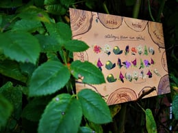 Nature Card