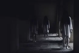 Asylum
