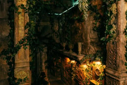 Jungle Games
