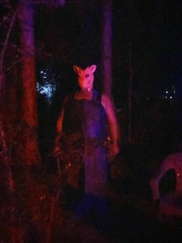 Haunted Trail