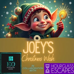Joey’s Christmas Wish