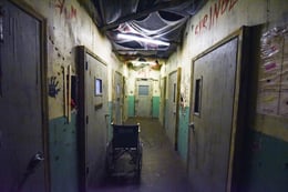 Asylum