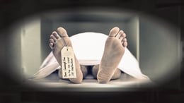 The Morgue