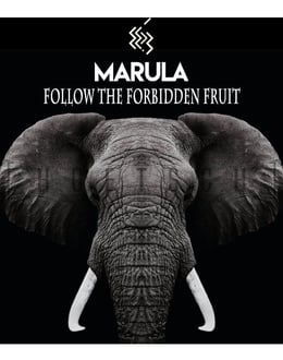 Marula, Follow the Forbidden Fruit!