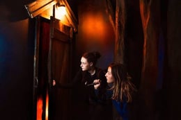 Cabin Fever