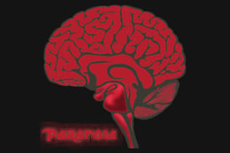 Paranoia