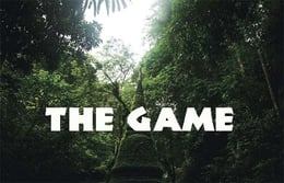 The Game