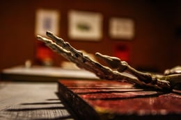 Galería De Cadáveres [Corpse Gallery]