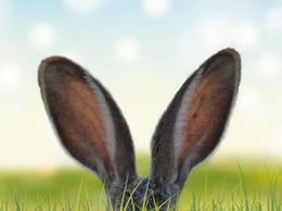 Mystery Of The Horned Rabbit