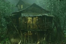 The Cabin