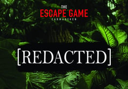 [Redacted]