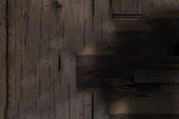 Hunter's Revenge
