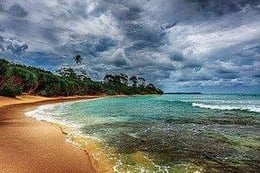 Trouble in Paradise