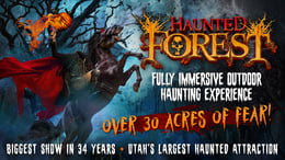 Haunted Forest