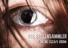 Der Seelensammler