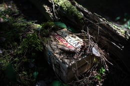 Maan Väen Vankina [Prisoners of the Forest] [Outdoor]