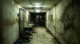 Lunatic Asylum