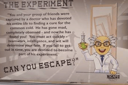 The Experiment