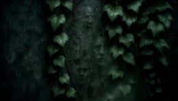 Overgrowth