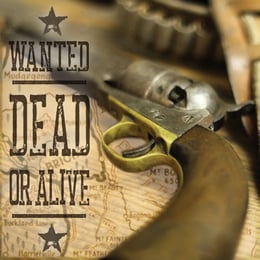 Wanted – Dead or Alive
