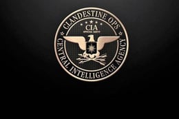 Central Intelligence