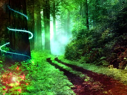 The Witching Hour
