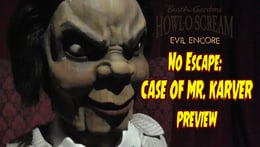 Case of Mr. Karver
