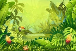 The Jungle Escape