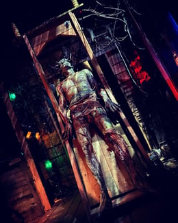Trail of Terror
